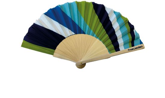 Image sur AIR CARAIBES - éventail bleu et vert